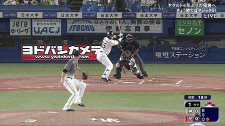 新規