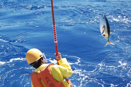 dee571aa882ab8b7ac01697114f88102