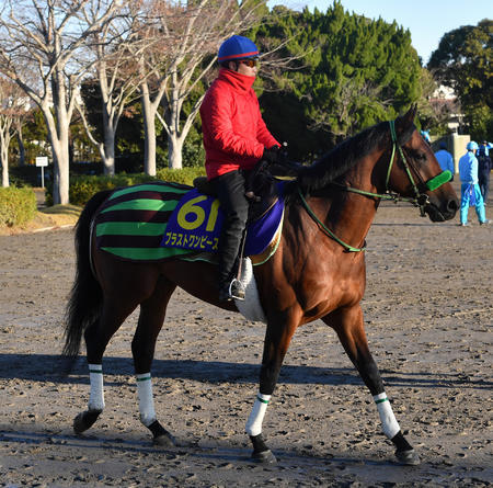 20181222-00425780-nksports-000-6-view