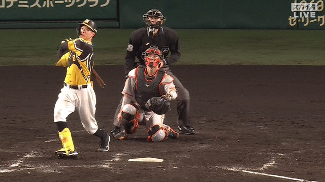 2023_0426_193142_226