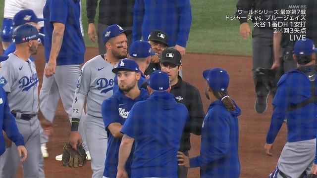 2025_1102_103815_031