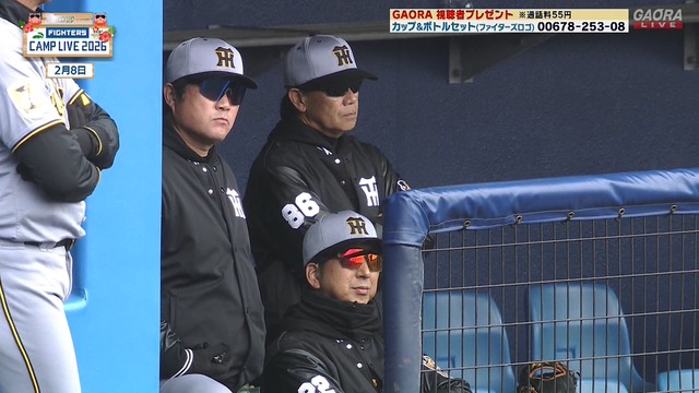 2026_0208_152634_271