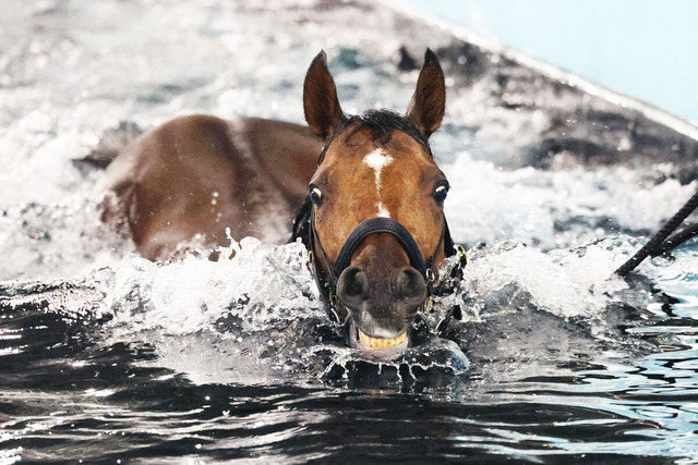 20240528-OHT1I51159-L