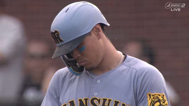 2025_0615_232737_264