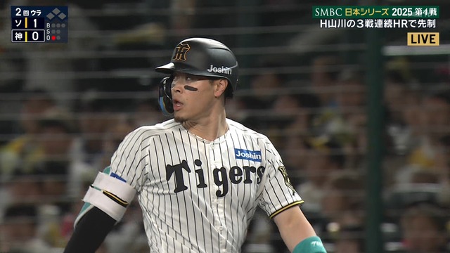 2025_1029_203333_524