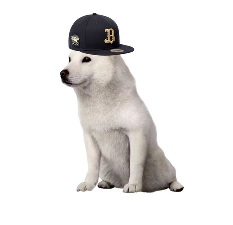 G0ugWr4bgAApfXk