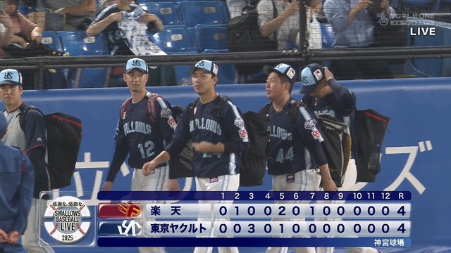 2025_0617_224934_253