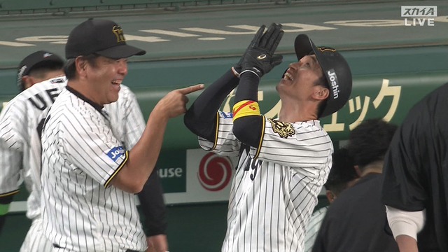 2025_1015_205508_326