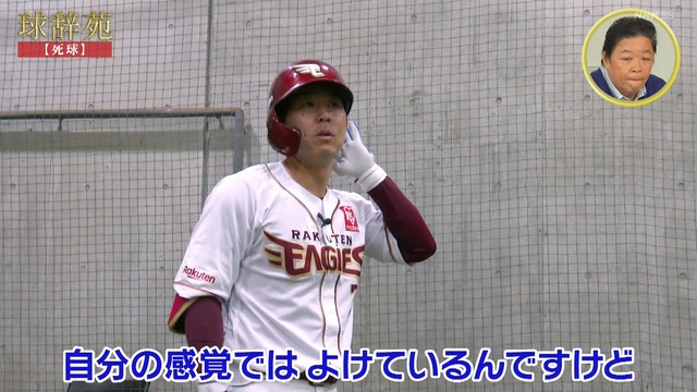 2025_1124_231146_135