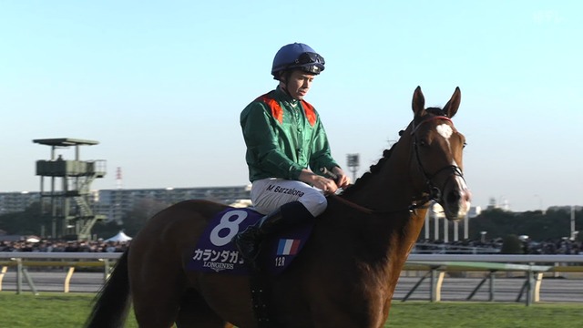 2025_1130_160456_365