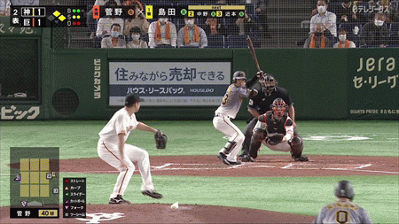 新規