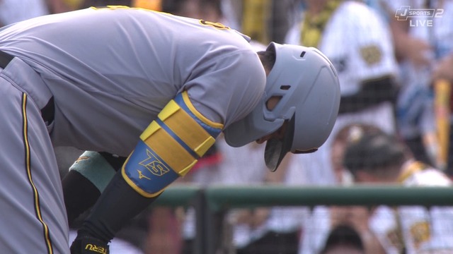 2025_0615_232743_837