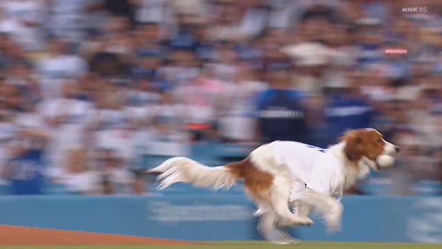 2024_0829_125508_055