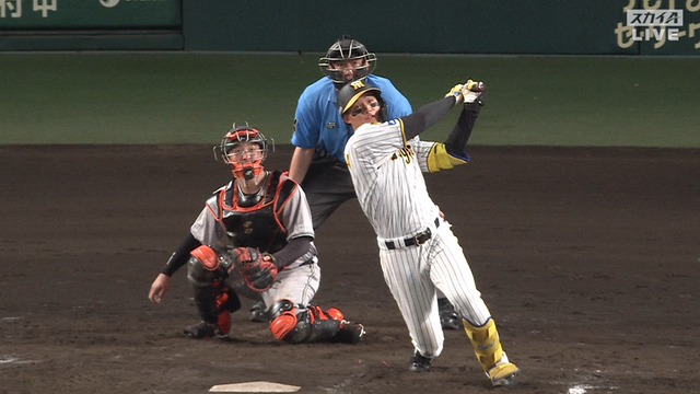 2024_0730_211016_849