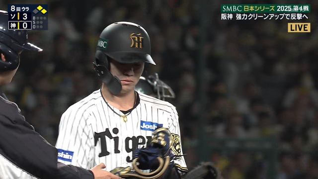 2025_1029_213227_476