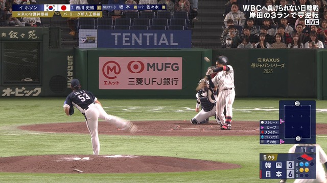 2025_1116_211810_725