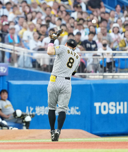 202409080001880-w500_18