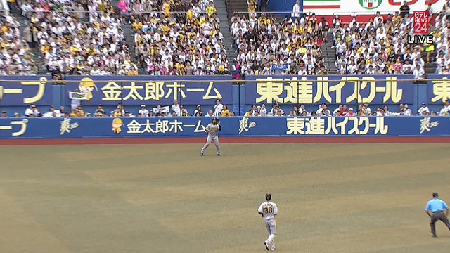 2024_0602_183246_519