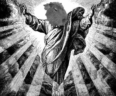 god