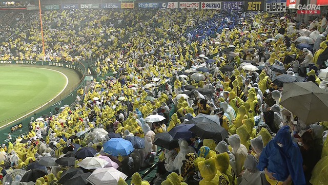 2025_1016_195022_359