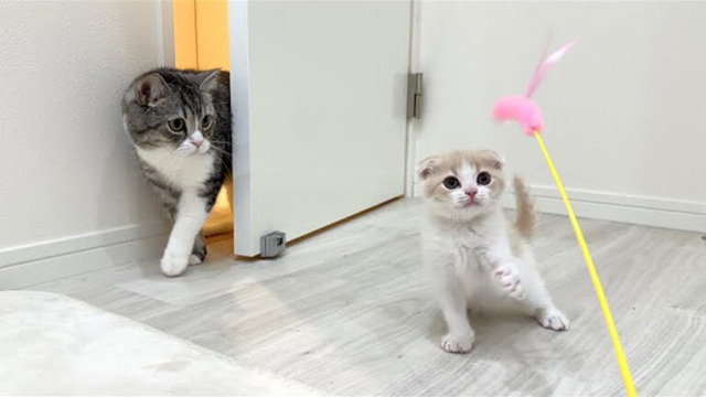 G03143_main1-768x432