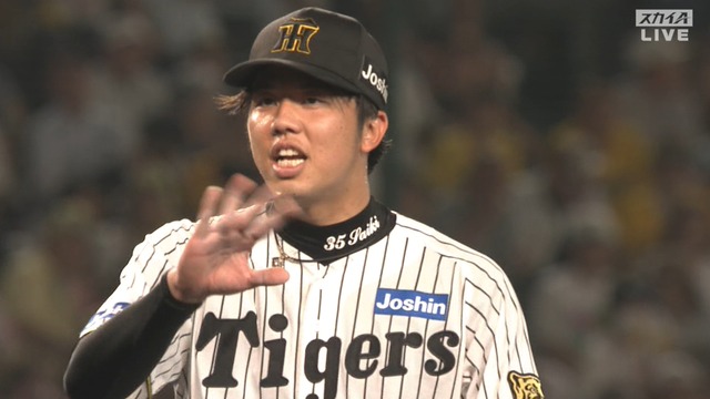 2025_0617_203024_413