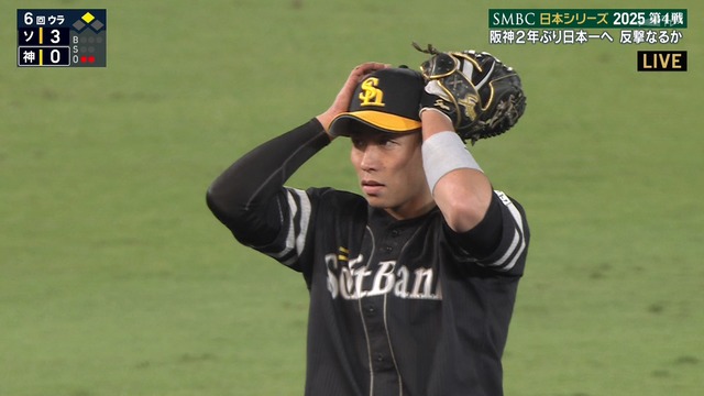 2025_1029_203613_762