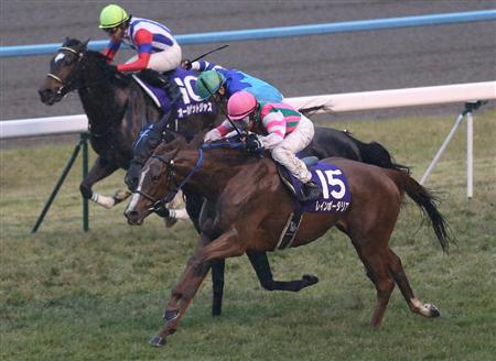 ope12111115520006-p3