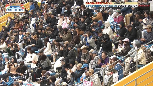 2026_0207_134514_707