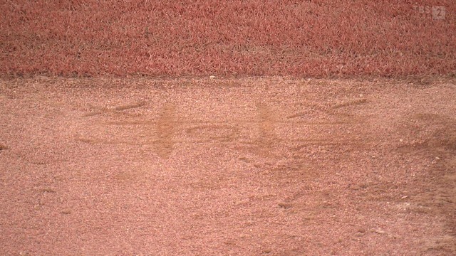 2025_0905_224245_160