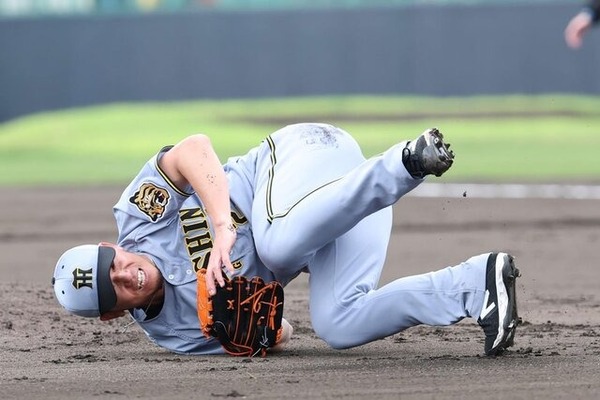 imgi_13_20260211-00376859-tospoweb-000-2-view