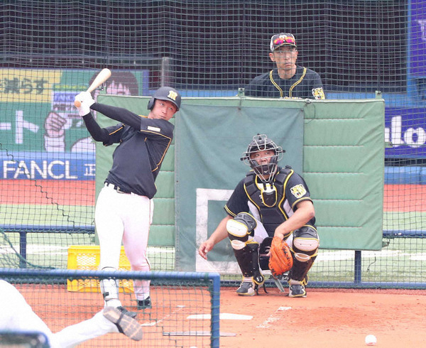 20190703-00000132-spnannex-000-5-view