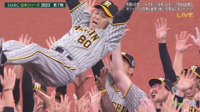 2023_1105_221042_062