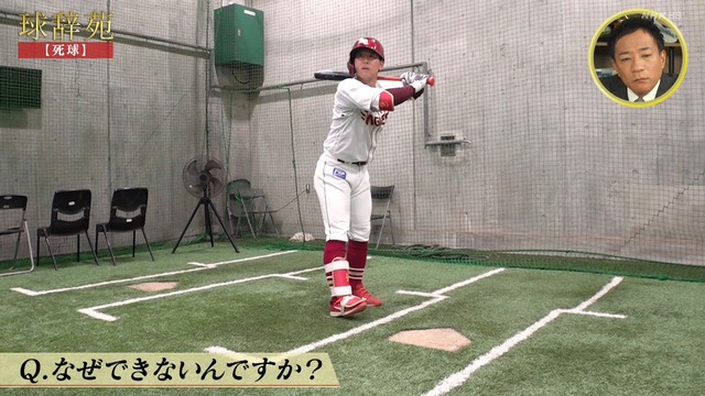 2025_1124_231526_830