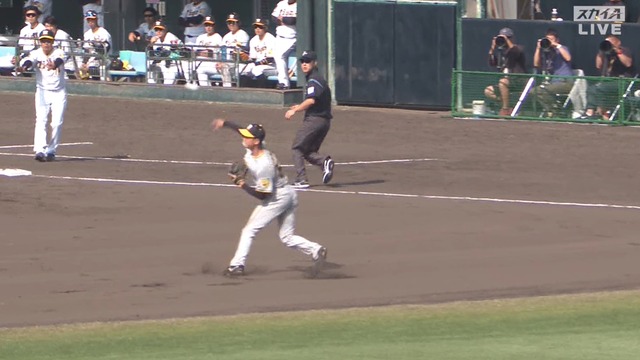 2024_0211_145334_795