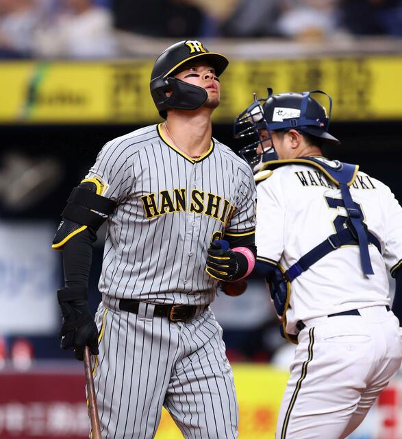 20240611-00000118-dal-000-5-view