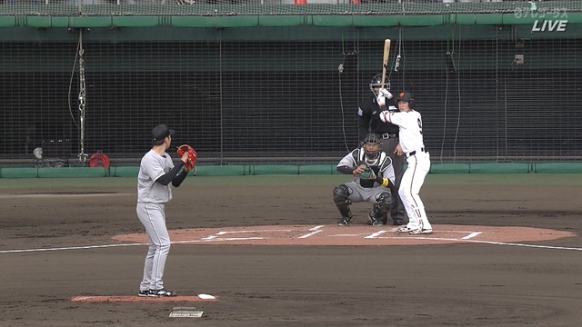 2026_0217_132623_442