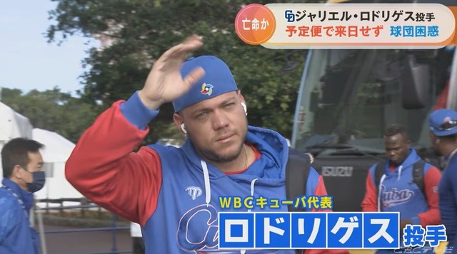 img_8fe8caa85a3f2ac143eaf182440e1a4e210508