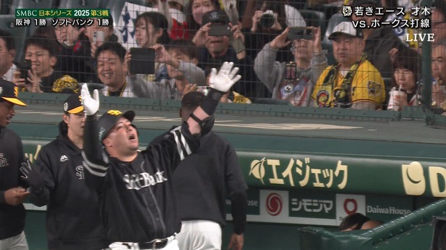 2025_1028_191336_887