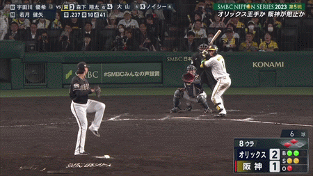 新規