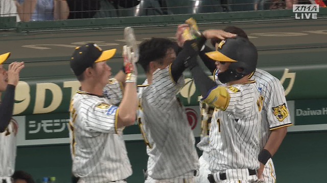 2024_0731_214215_969