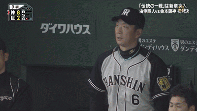 新規