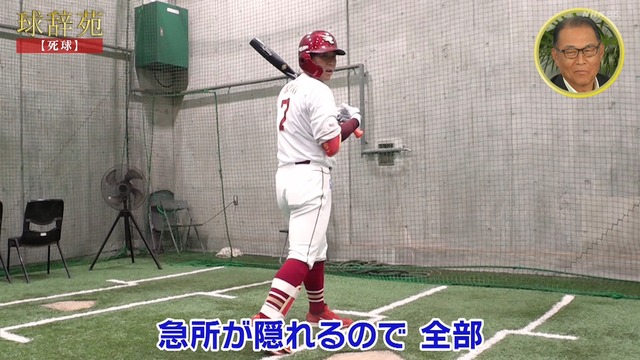 2025_1124_232135_184