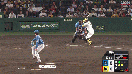 新規