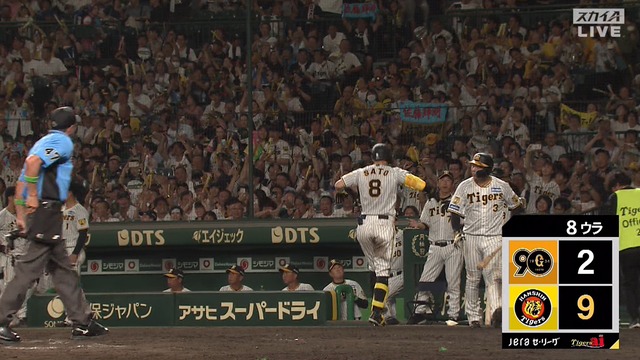 2024_0801_205455_215