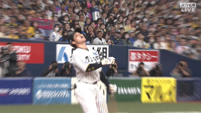 2025_0402_224604_229