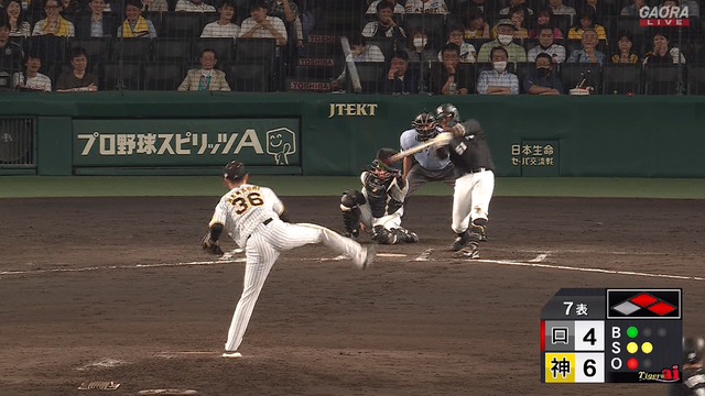 2023_0605_205826_981