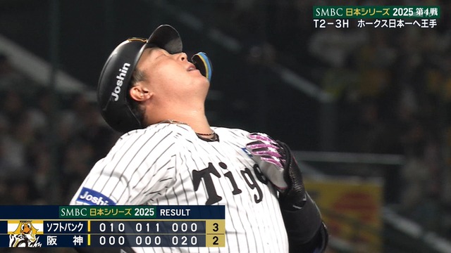 2025_1029_214920_608