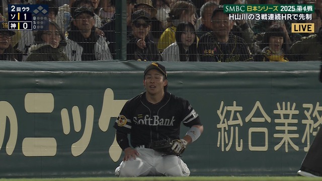 2025_1029_203326_049