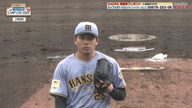 2026_0208_152645_124